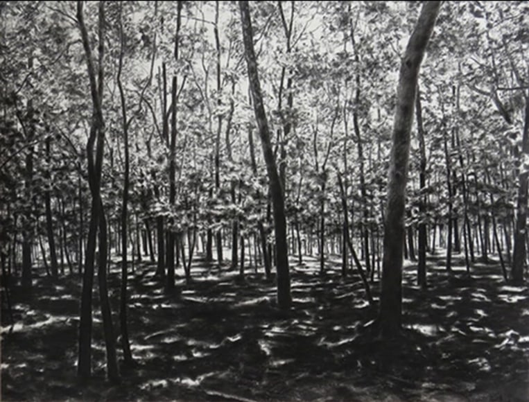 April Gornik, Forest Gathering Light, 2014