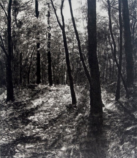 April Gornik, The Woods, 2009