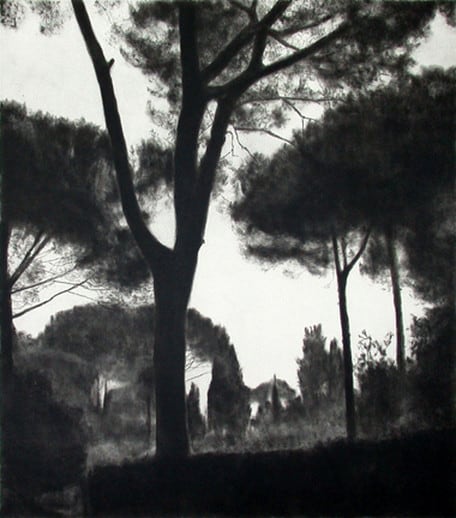 April Gornik, Palatine Shade, 2006