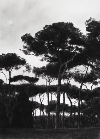 April Gornik, Woven Trees, 2006