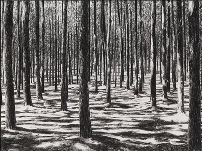 April Gornik, Forest Struck by Light, 2015