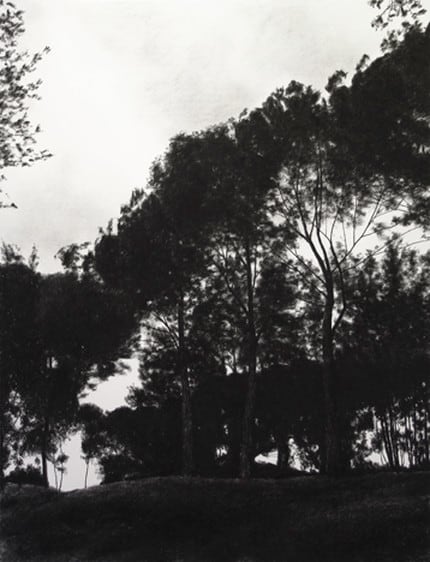 April Gornik, Winding Trees, 2005
