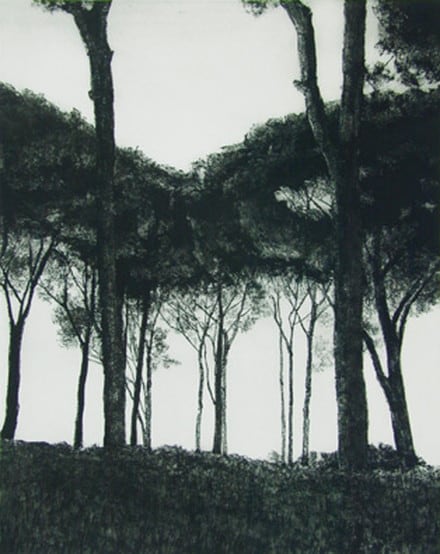 April Gornik, Palatine Light, 2002