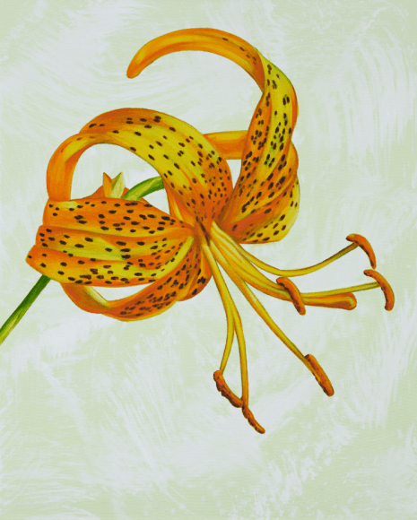 John Newsom Clearly Now, 2019 'Meadow Paintings' Series Oil on canvas
