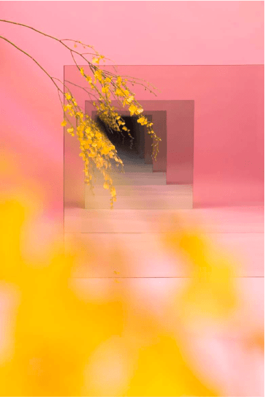 BRINTZ GALLERY, SARAH MEYOHAS, Pink and Yellow Speculation, 2015, Chromogenic Print, 90 by 60 inches, Unique Art