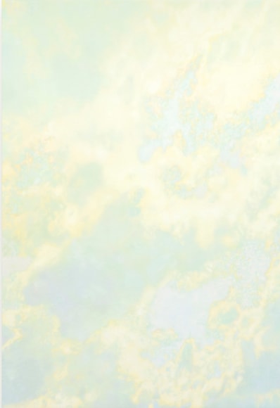 BRINTZ GALLERY_I know you're persuasive, oil on polyester restoration fabric, 63 x 43 in, 2021_Unique Art