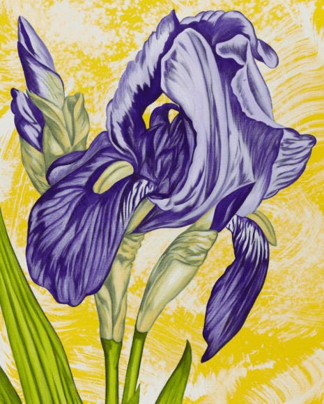 BRINTZ GALLERY, JOHN NEWSOM, Sentiment of Wonder, 2019, Oil on canvas, 30 by 24 inches, Flora, 'Meadow Paintings' Series, Unique Art