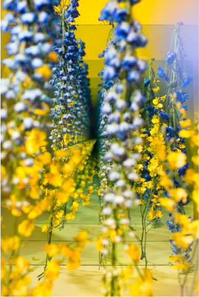 BRINTZ GALLERY, SARAH MEYOHAS, Yellow and Blue Speculation, 2017, Chromogenic Print, 60 by 40 inches, Edition is 4 of 5, plus 2 Artist Proofs, Unique Art