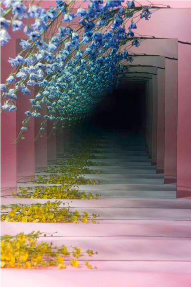 BRINTZ GALLERY, SARAH MEYOHAS, Pink and Blue Speculation, 2015, Chromogenic Print, 60 by 40 inches, Edition is 3 of 6, plus 2 Artist Proofs, Unique Art
