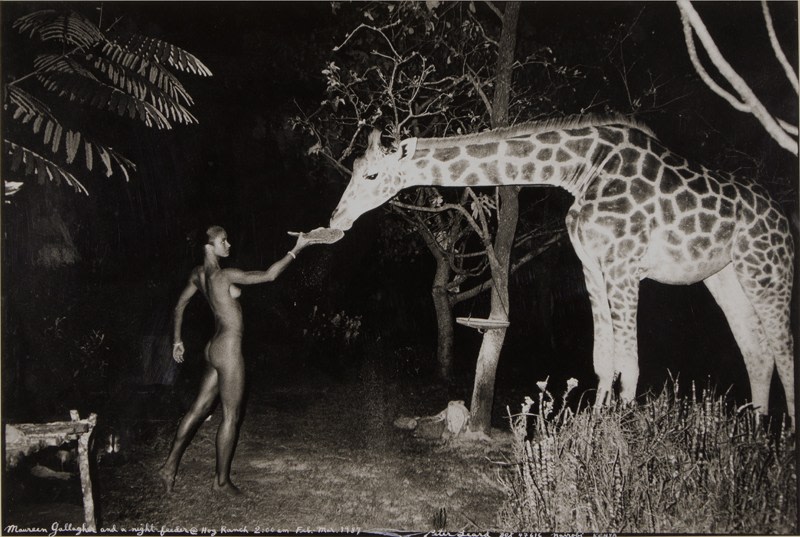 Peter Beard (born 1938)