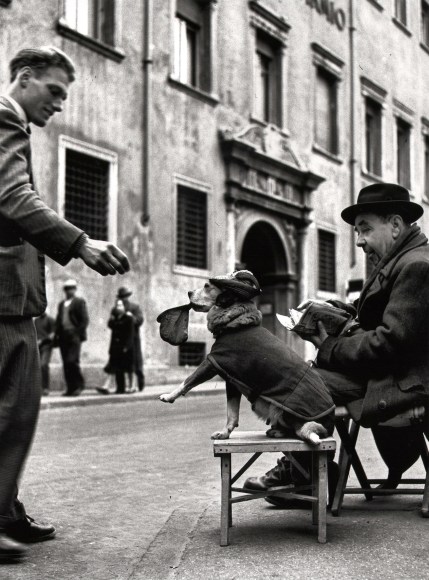 Nino Migliori, The Cashier, 1957. A clothed dog by a seated man accepts a coin from a man on the street.