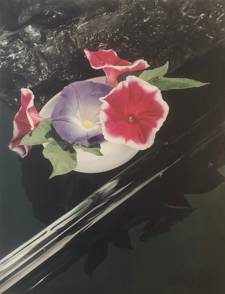 Hi Williams, Untitled, ​c. 1937. Pink and purple flowers in a small white vessel against a reflective black surface.