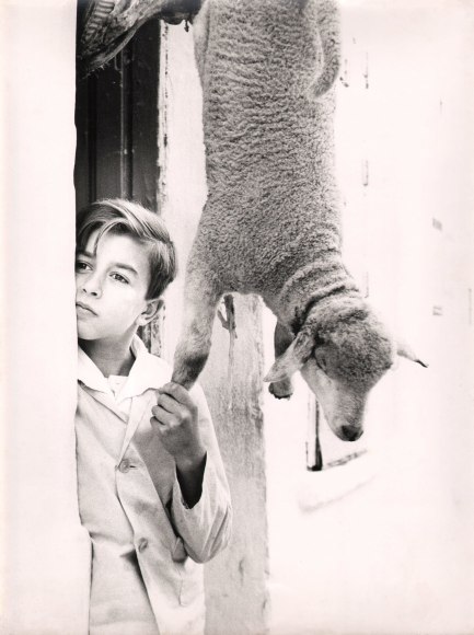 Giuseppe Bruno, Matera, ​1958. A young boy stands in a doorway beneath a lamb suspended by its hind legs. He holds its right hoof in his hand, looking off to the left.