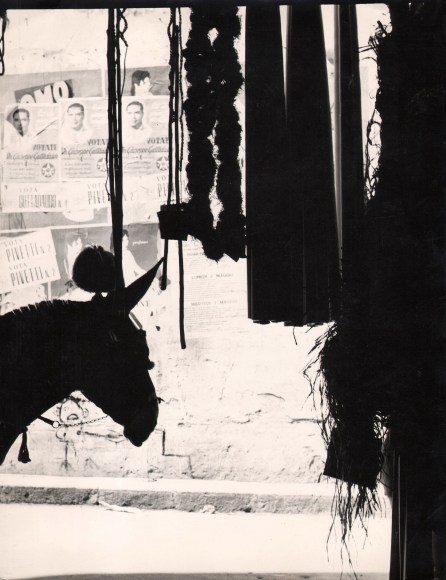 Alfredo Camisa, Sicilia, ​c. 1955. The silhouette of a horse's head extends from the left of the frame. Various rope-like silhouettes extend down from above. An alleyway plastered with posters is in the background.