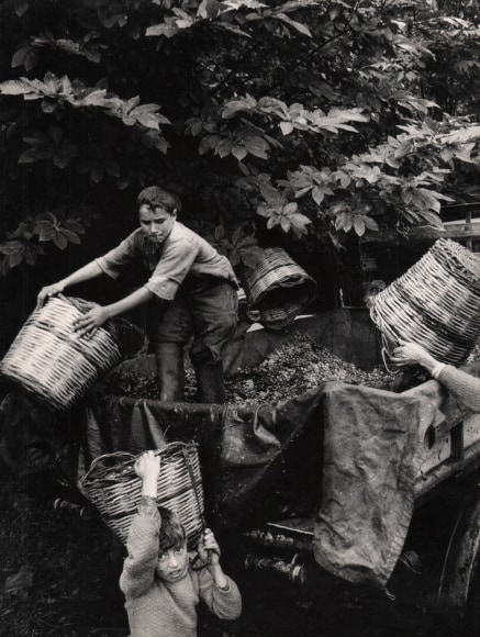 Enzo Sellerio, Untitled, ​n.d. A truck bed filled with grapes surrounded by young boys wielding baskets.