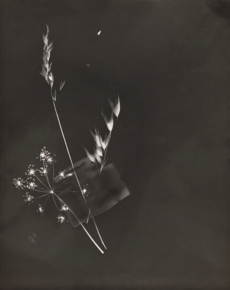 Claude Tolmer, Photogram (Inkwell &amp; Flowers), ​c. 1933. White silhouettes on a black background of three flowers and a small vessel.