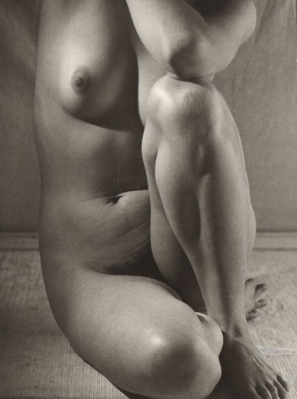 Ruth Bernhard, Classic Torso (Variant), ​1952. Kneeling nude female torso with one leg bent beneath her and one bent in front of her; one shoulder rests on the raised knee.