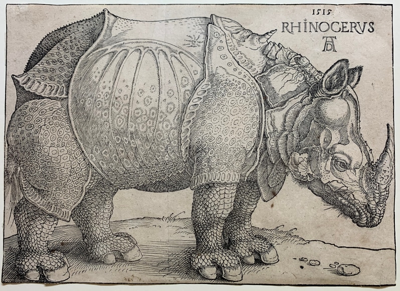 Albrecht Dürer, The Rhinoceros, 1515