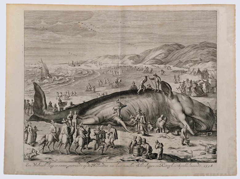 Willem van der Gouwen (ca.1650-1720)  A Beached Whale Between Scheveningen and Katwijk, 1598