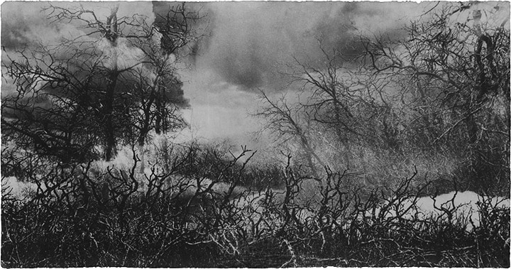Jungjin Lee, Wind 07-95 (Ed. 2/7), 2007. Photograph on hand-coated Korean Mulberry paper, 75.5 x 144.5 cm., Courtesy of the artist & PKM Gallery.