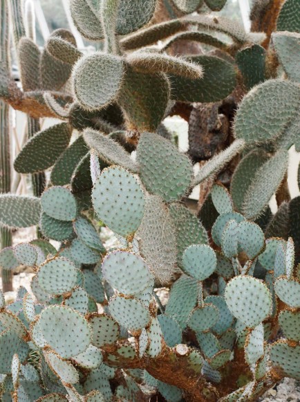 Heeseung Chung,&nbsp;Untitled, 2013. Archival pigment print, 90 x 64.3 cm. Courtesy of the artist &amp;amp;&nbsp;PKM Gallery.