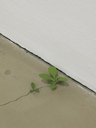 Yoshihiro Suda. Weeds, 2008. Painted wood.&nbsp;Courtesy of the artist &amp;amp; PKM Gallery.