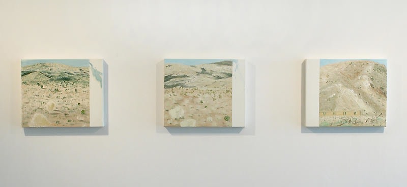 Jiwon Kim. Dry landscape, 2007.&nbsp;Oil on linen, 38 x 45.5 cm each.&nbsp;Courtesy of the artist &amp;amp; PKM Gallery.