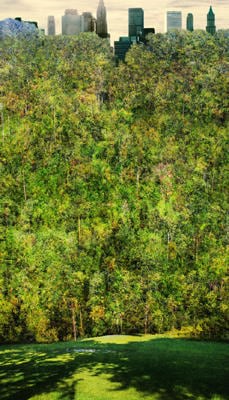 Sangbin IM. Central Park 1 (Edition of 5), 2007. lambda print, 177.8 x 101.6 cm. Courtesy of the artist & PKM Gallery. 