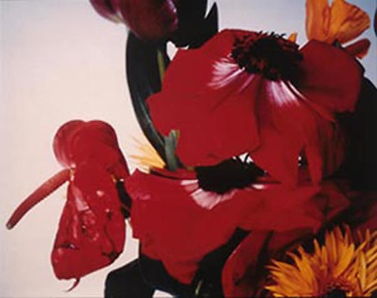 Nobuyoshi Araki. Untitled, 1997. Color photograph, 59 x 49 cm. Courtesy of the artist & PKM Gallery.