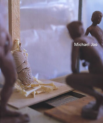 La Biennale di Venezia Korean Pavilion Michael  Joo