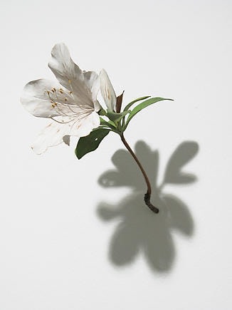 Yoshihiro Suda. Azalea, 2005. Painted wood.&nbsp;Courtesy of the artist &amp;amp; PKM Gallery.