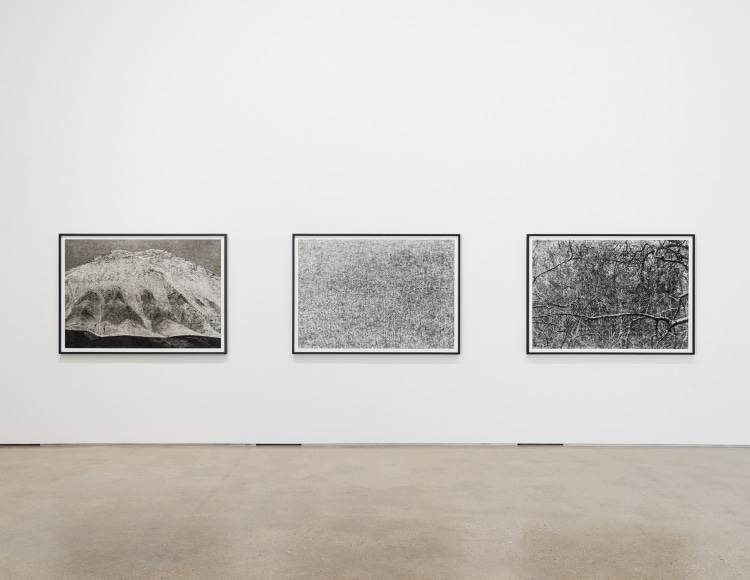 Installation view of&nbsp;Jungjin Lee: VOICE at PKM &amp;amp; PKM+. Courtesy of PKM Gallery.