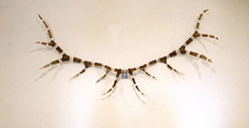 Michael Joo. Improved Rack #66, 2002. Elk antlers, stainless steel, wire, 281 x 135 cm.&nbsp;Courtesy of the artist &amp;amp; PKM Gallery.