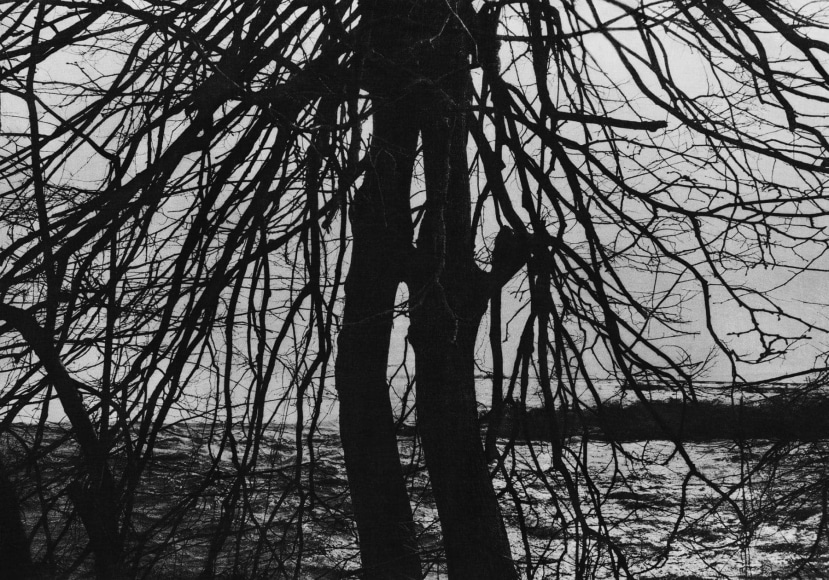 Jungjin Lee,&nbsp;Voice 08,&nbsp;2019.&nbsp;Archival pigment print,&nbsp;108.50 x 153 cm, (FRAME) 111 x 155 x 4.50 cm.