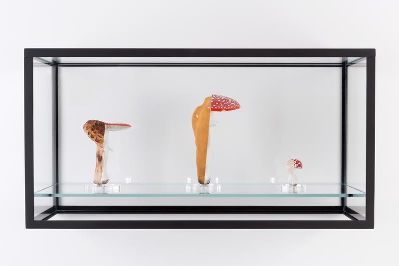 Carsten H&ouml;ller. Double Mushroom Vitrine (Threefold), 2015. Cast polyurethane mushroom replicas in various sizes, acrylic paint, glass discs, metal pins, vitrine glass, powder-coated metal framework, 60 x 26 x 31 cm. &copy; Carsten H&ouml;ller. Courtesy the artist and Gagosian Gallery.