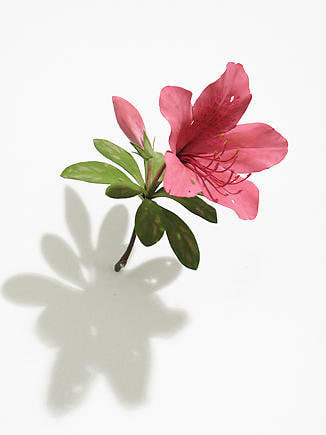 Yoshihiro Suda. Azalea, 2007. Painted wood.&nbsp;Courtesy of the artist &amp;amp; PKM Gallery.