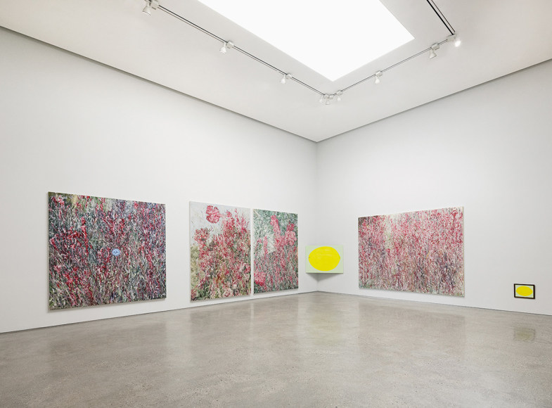 Installation view of Kim Jiwon: LEMON at PKM&amp;amp;PKM+. Courtesy of PKM gallery.