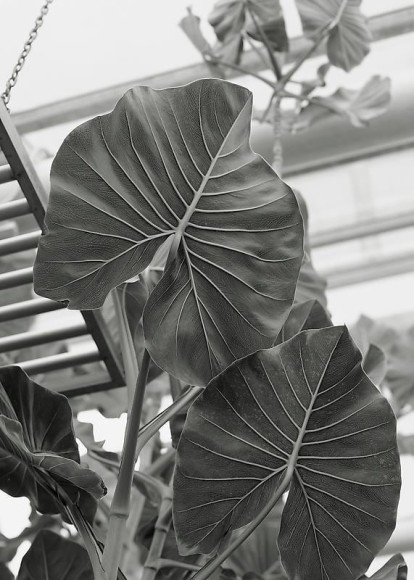 Heeseung Chung. Untitled, 2013.&nbsp;Archival pigment print, 70 x 50 cm. Courtesy of the artist &amp;amp; PKM Gallery.