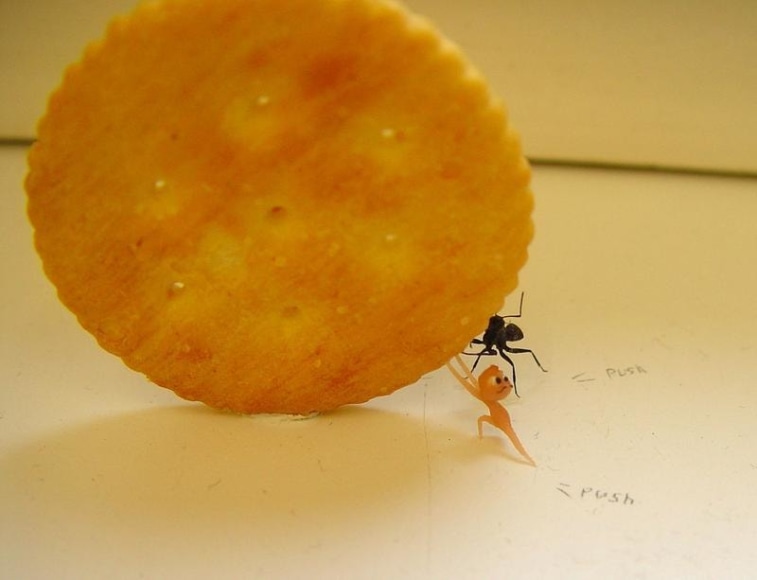 Ham Jin. Push! Push!, 2007. Mixed media, 34 x 14 x 14.5 cm.