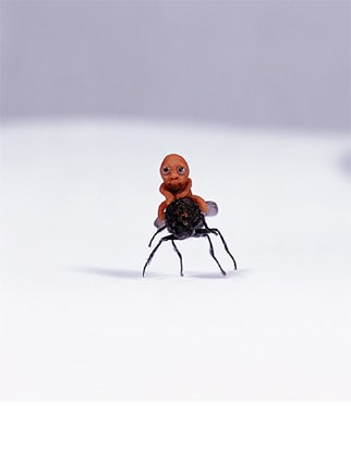 Ham Jin. Aewan love #1, 2004. C-print photograph of a sculpture made of polymer clay, fly and mixed media, Size of photo: 125.5 x 155 cm, size of sculpture: 1 cubic cm (approximate).&nbsp;Courtesy of the artist &amp;amp; PKM Gallery.