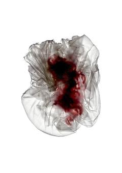 DEAN KESSMANN Target (from Plastic on Paper) 2006, archival pigment print, 34 x 24 inches