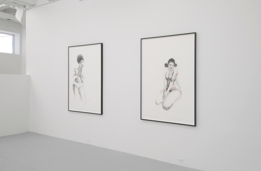 ZOË CHARLTON Family 2008-9. Installation view: Conner Contemporary Art.