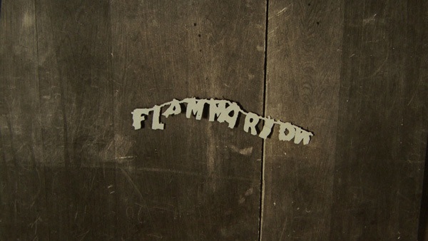 SUSAN MACWILLIAM F-L-A-M-M-A-R-I-O-N (video still)
