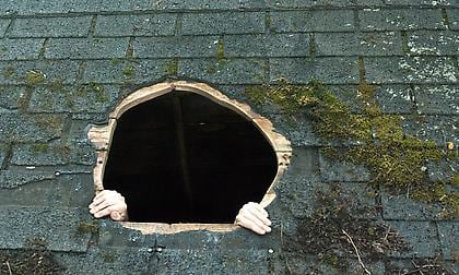 COBLE/RILEY PROJECTS Untitled 1 (from Ascension/Immersion) 2009, archival inkjet print, 12 x 20 inches