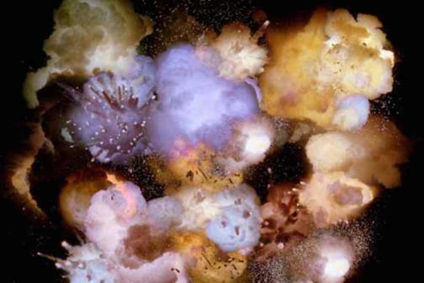 PASCUAL SISTO Salamander 2006, video, run time: 1:30