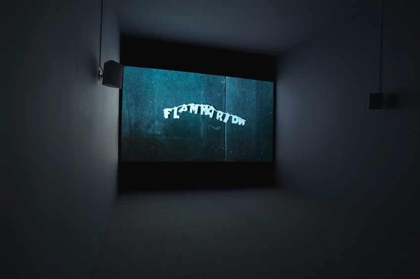 Susan MacWilliam_F-l-a-m-m-a-r-i-o-n_Venice Biennale