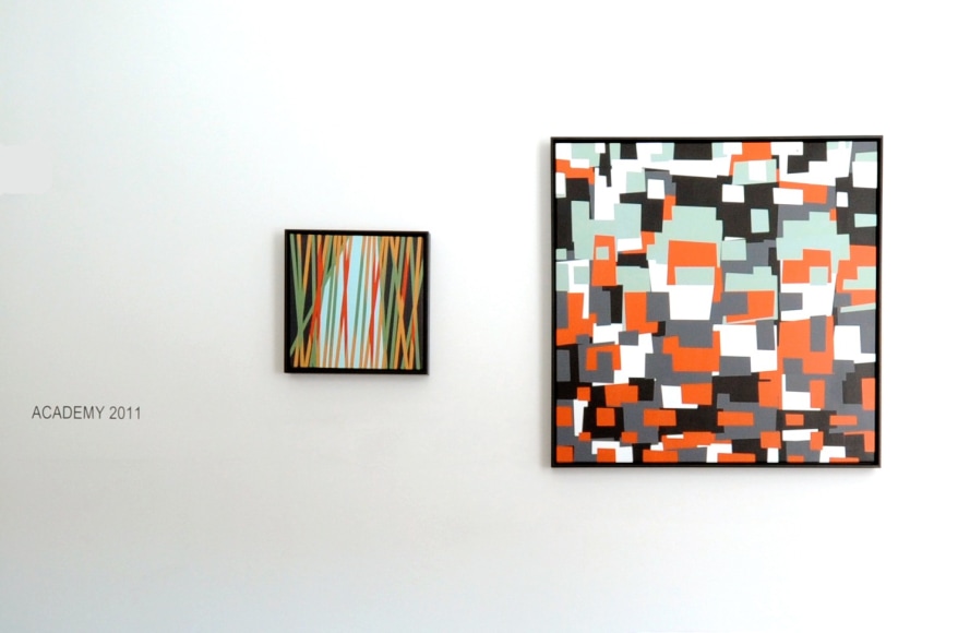 CAMILO SANIN ACADEMY 2011 Installation view: Conner Contemporary Art.