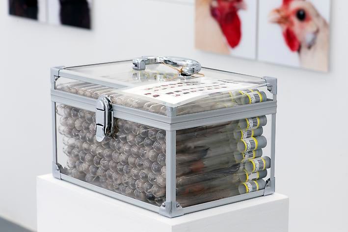 KOEN VANMECHELEN Under Pressure - C.C.P. (detail) 2013, test tubes, labels, feathers, plexiglass, 6 x 10.25 x 46.5 inches.