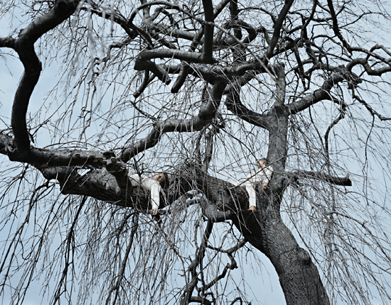 MARIA FRIBERG alongside us 6 2007, cibachrome, 46 x 59 inches