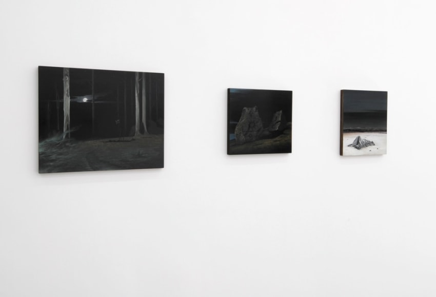 JOHN STARK Mercurius Duplex 2010. Installation view: Conner Contemporary Art.